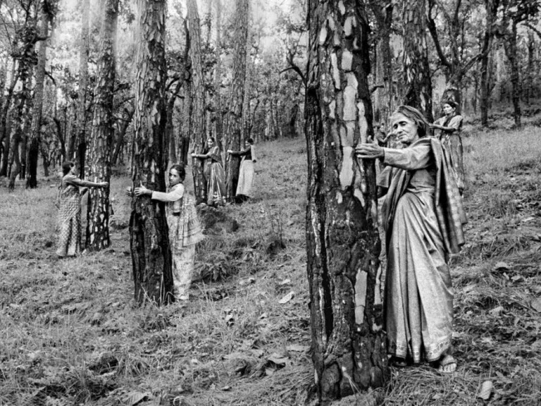 Fotografía en blanco y negro de varias mujeres abrazando los troncos de árboles en un bosque, como acto de protesta pacífica para impedir su tala durante el movimiento Chipko en India.