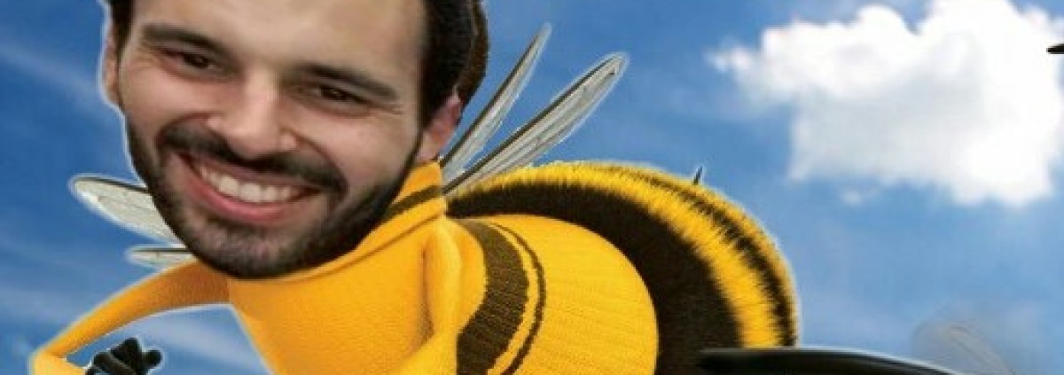 Fotomontaje de la cara de Félix Pina en una abeja